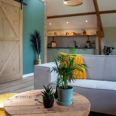 De Mölle Winterswijk